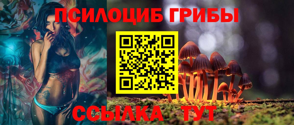 Галлюциногенные грибы мицелий  Галлюциногенные грибы Magic Shrooms  как найти закладки  Асино  Вход с VPN 